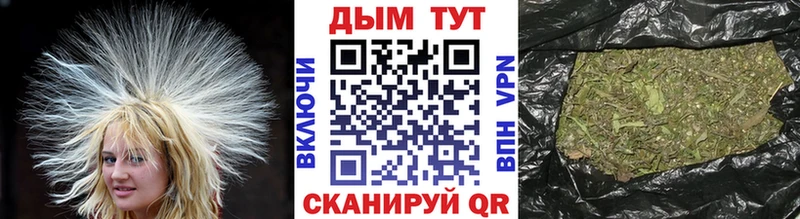 Марихуана конопля Покачи
